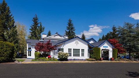 A white house with a blue roof and a red tree in front.