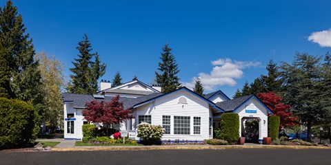 A white house with a blue roof and a red tree in front.