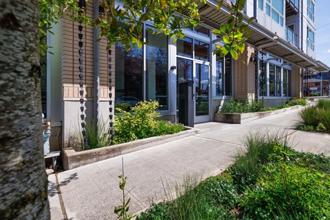 A modern building with a tree in the foreground.