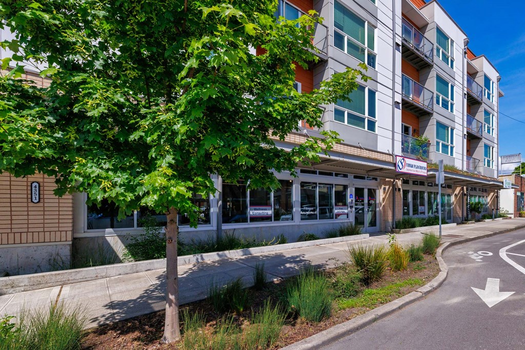 A tree in front of a building with a no parking sign.