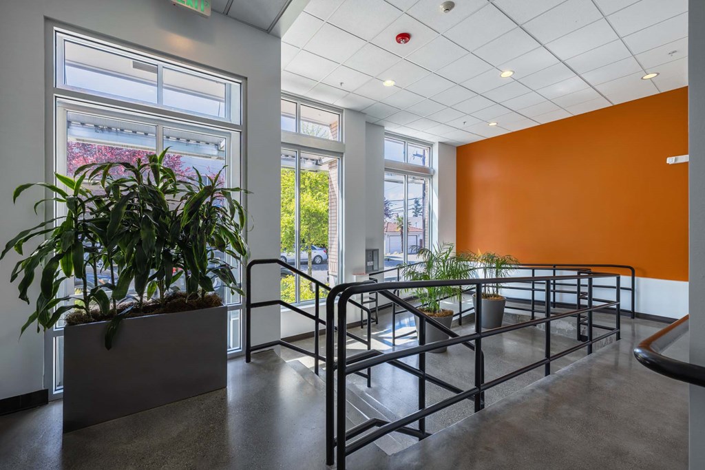 A plant is sitting in a planter in a hallway.
