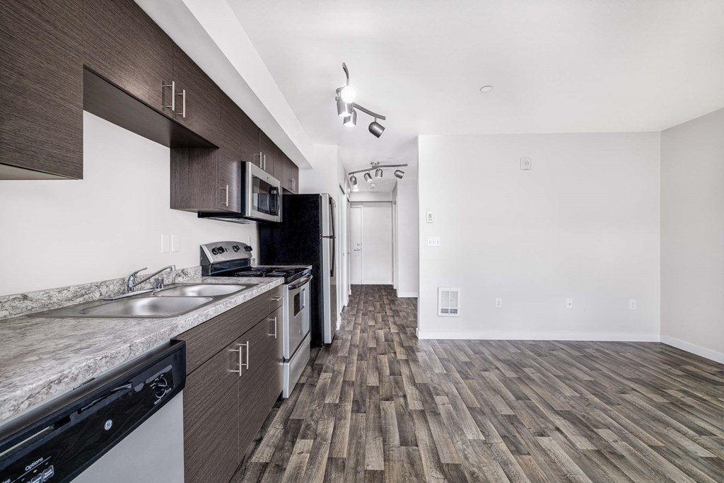 A kitchen with a black fridge and a black dishwasher.