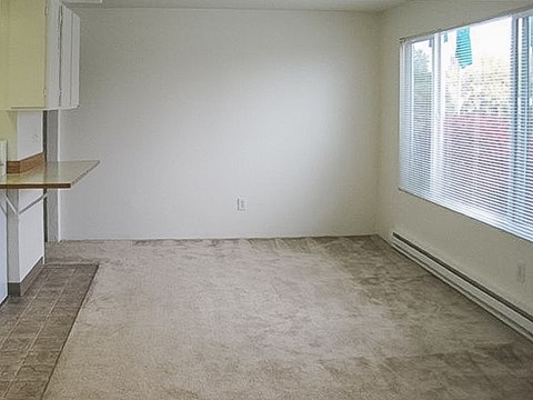 A room with a carpeted floor and a window with blinds.