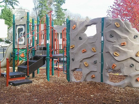 A playground with a slide, monkey bars, and a rock climbing wall.