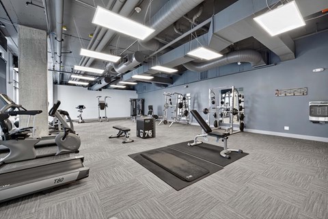 A gym with treadmills, weights, and exercise equipment.