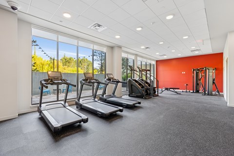 A gym with treadmills and a weight room.