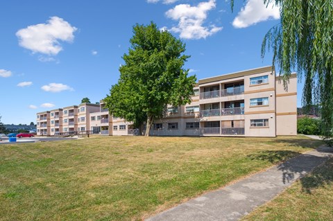 A large grassy area in front of apartment buildings.