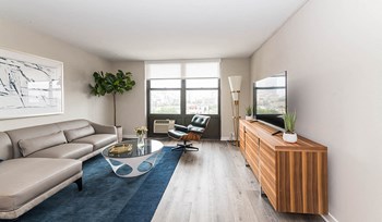 Modern Living Room at Reside on Barry, Chicago, Illinois