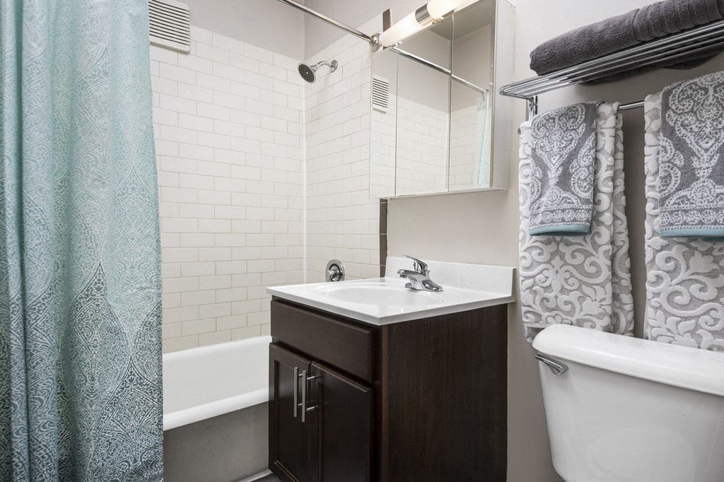 a bathroom with a sink and a toilet and a shower