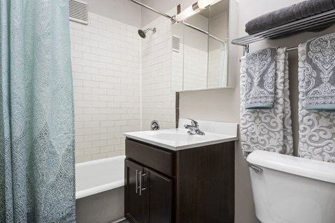 a bathroom with a sink and a toilet and a shower
