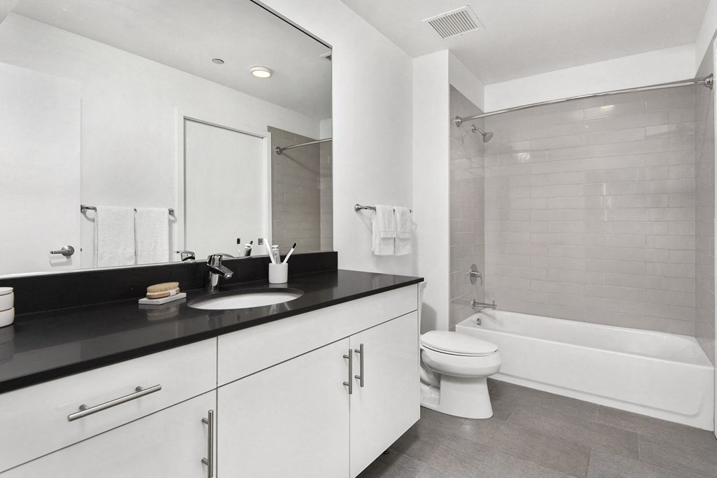 Sleek Bathrooms in River West