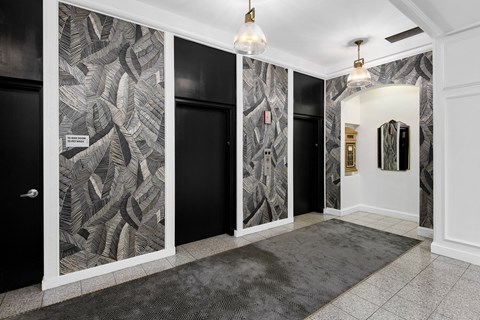 a hallway with black and white walls and carpet and doors