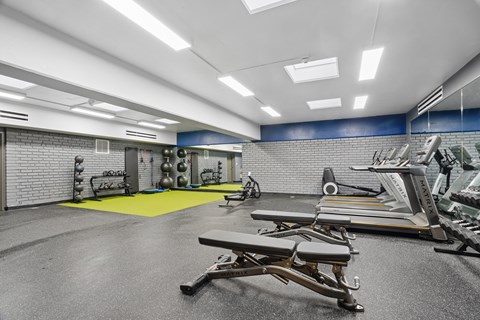A gym with a bench, weights, and exercise equipment.