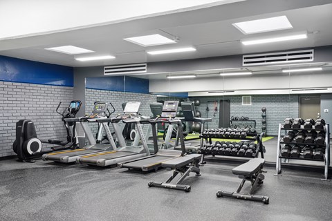 A gym with treadmills, weights, and exercise equipment.