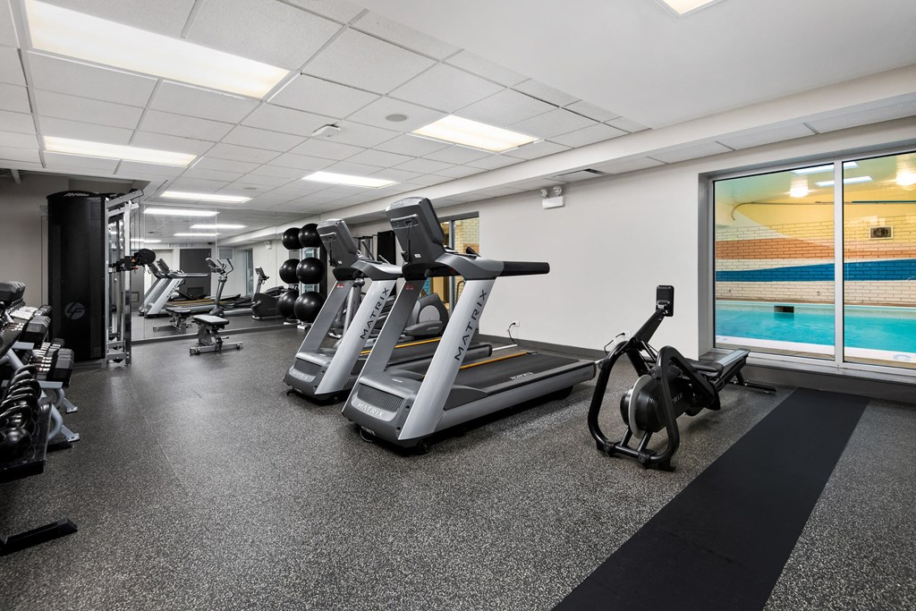 a gym with cardio equipment and weights on the floor