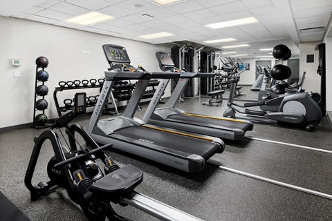 a gym full of treadmills and other exercise equipment