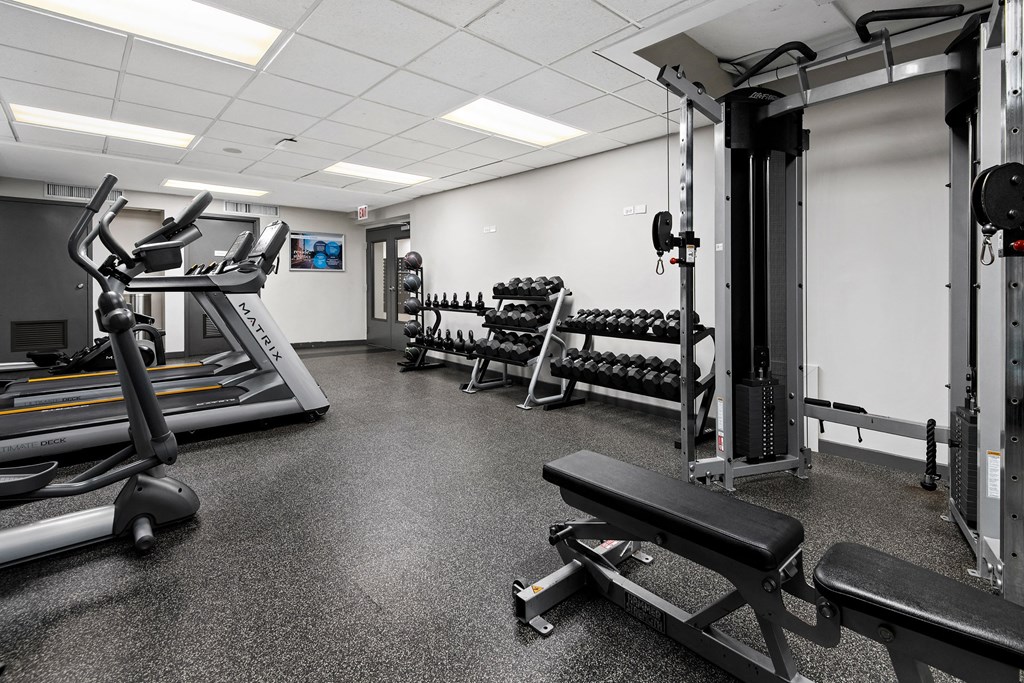 a gym with cardio equipment and weights on the floor