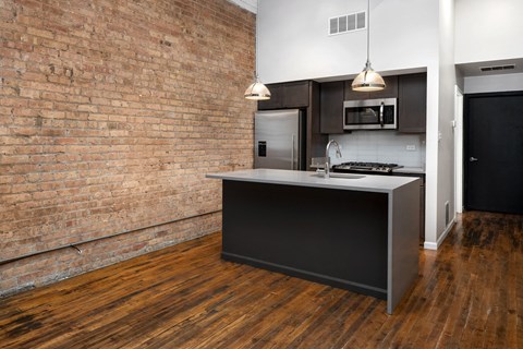 Fulton Market Apartments for Rent - Chicago, IL | RentCafe