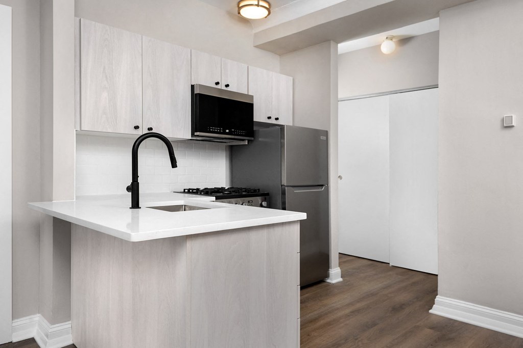 Kitchen Renovated Apartment 500