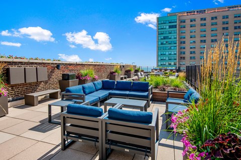 a rooftop patio with blue couches and chairs and plants
