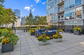 Roof Deck at 24 S Morgan - Photo Gallery 2