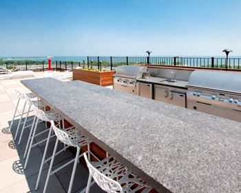 Rooftop BBQ at The Belmont by Reside Apartments, Illinois, 60657-4830