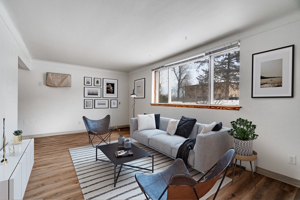 A living room with a grey couch, a black coffee table, and a striped rug.