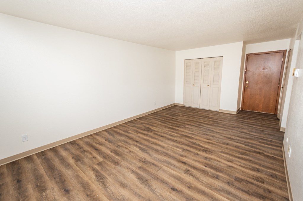 A room with a wooden floor and a brown door.