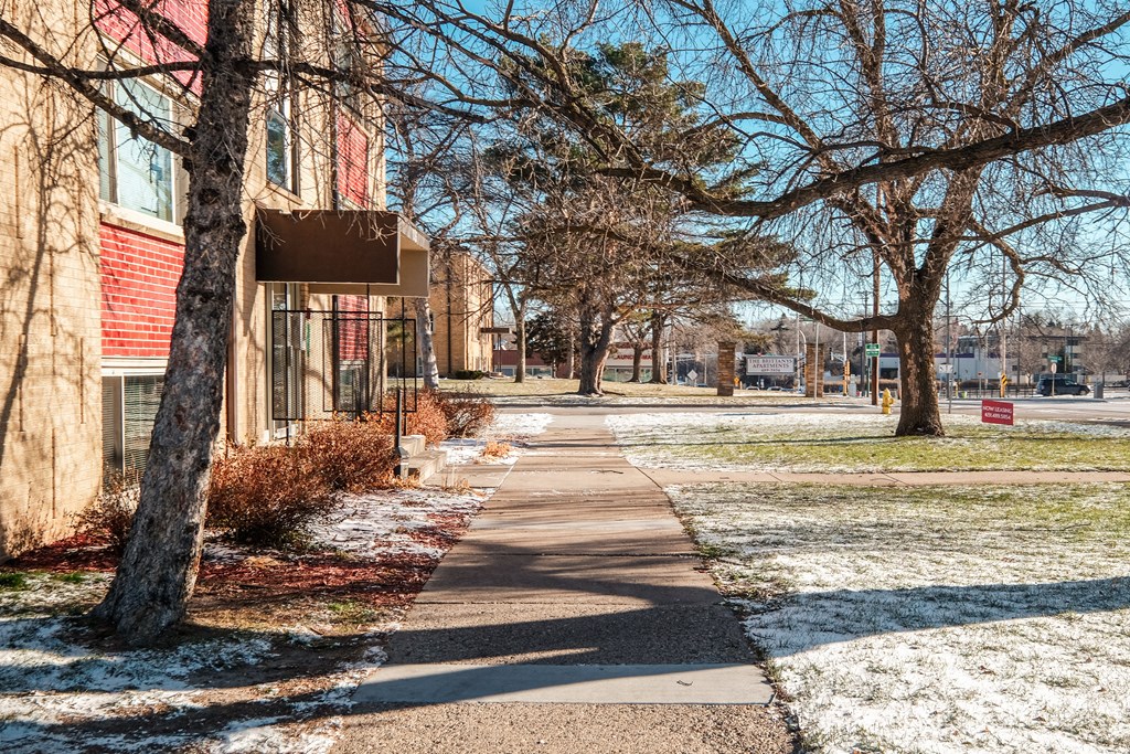 A tree-lined walkway in front of a building with snow on the ground.