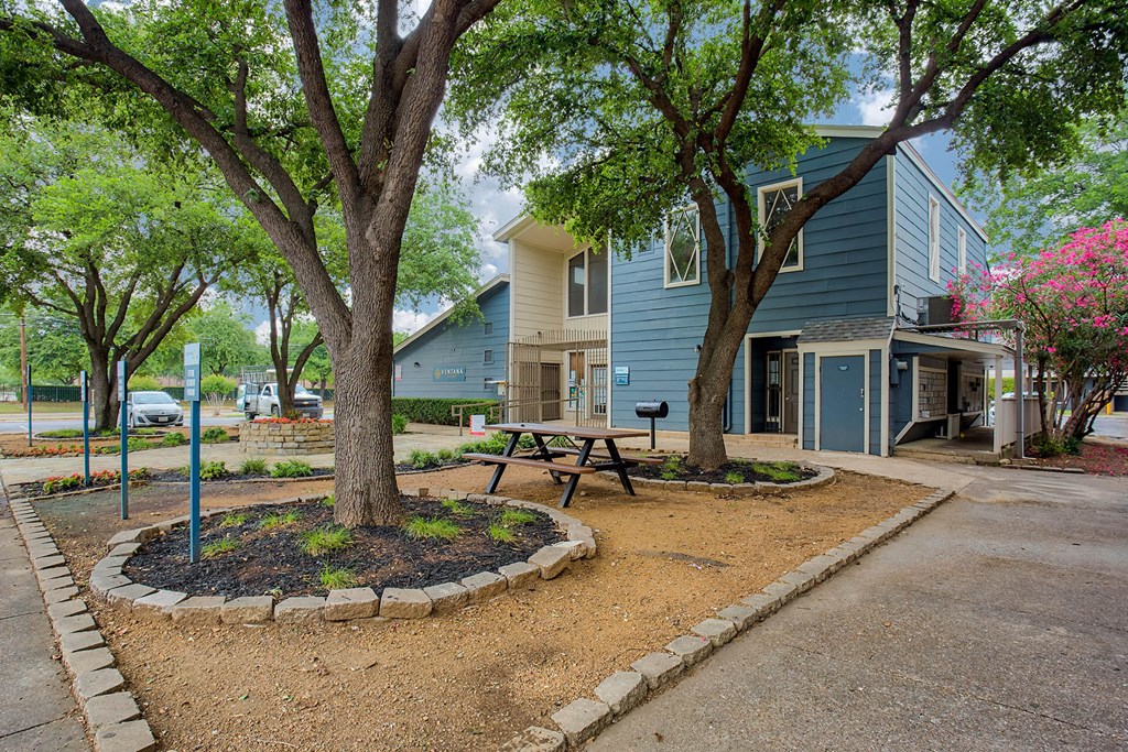 A tree in a circle of dirt with a picnic table in front of a blue building.