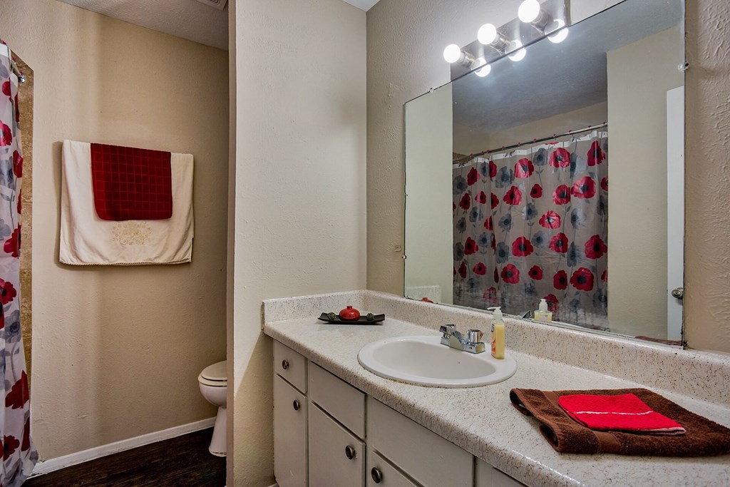A bathroom with a sink, mirror, and shower curtain.