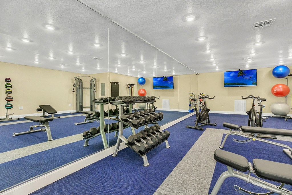 A gym with blue carpeting and a variety of exercise equipment.
