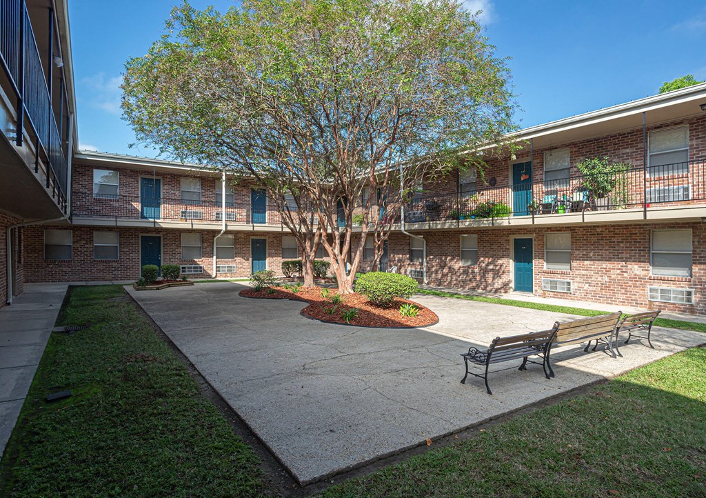A tree in front of apartment buildings.