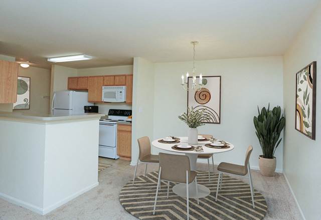 Square One Apartments