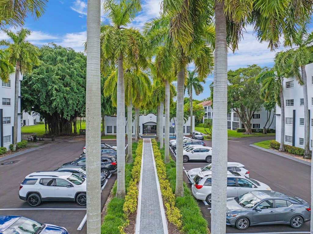 A parking lot with cars and palm trees.