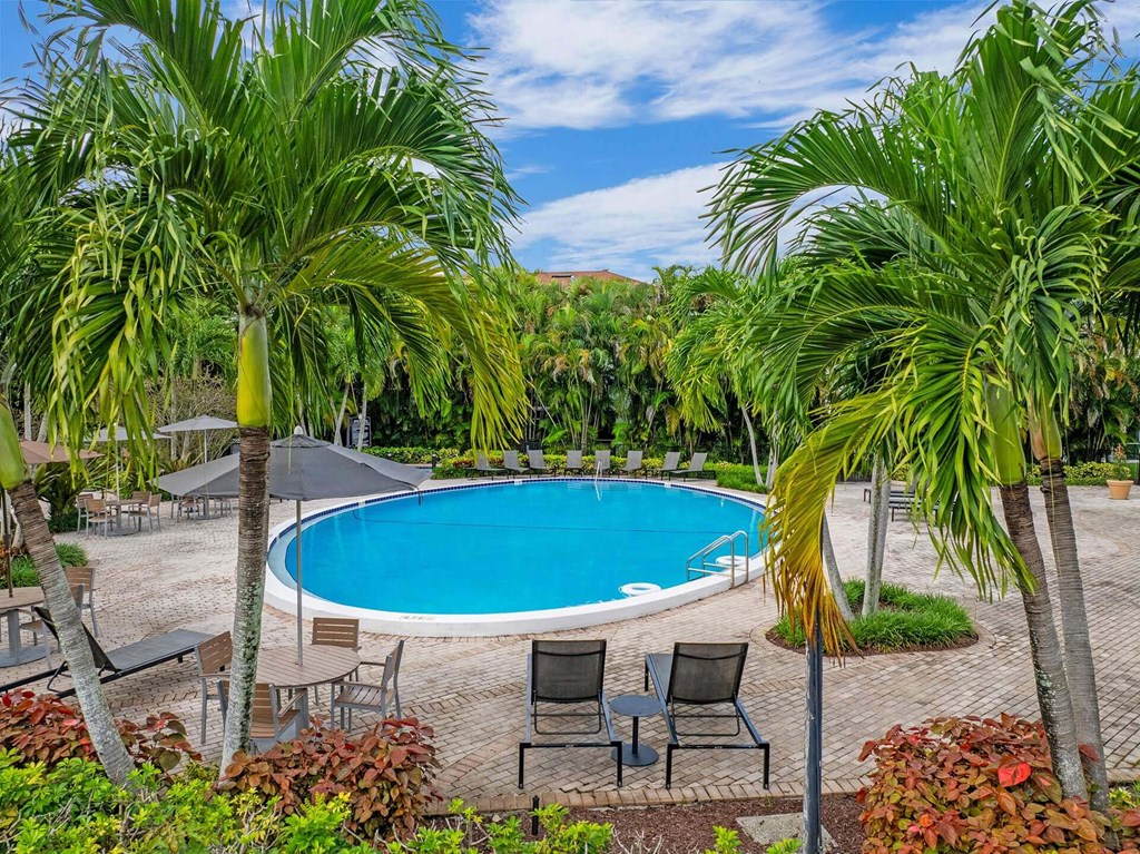 A pool surrounded by palm trees and chairs.