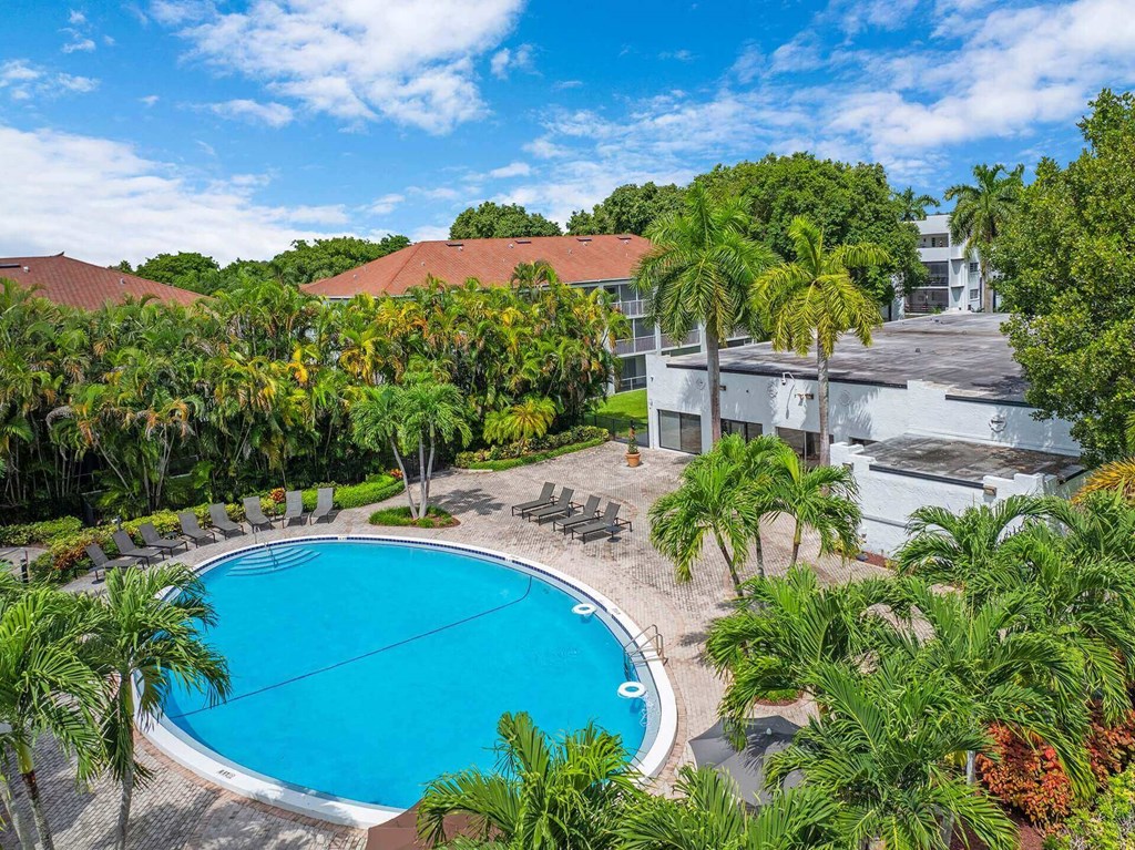 A swimming pool surrounded by palm trees and lounge chairs.