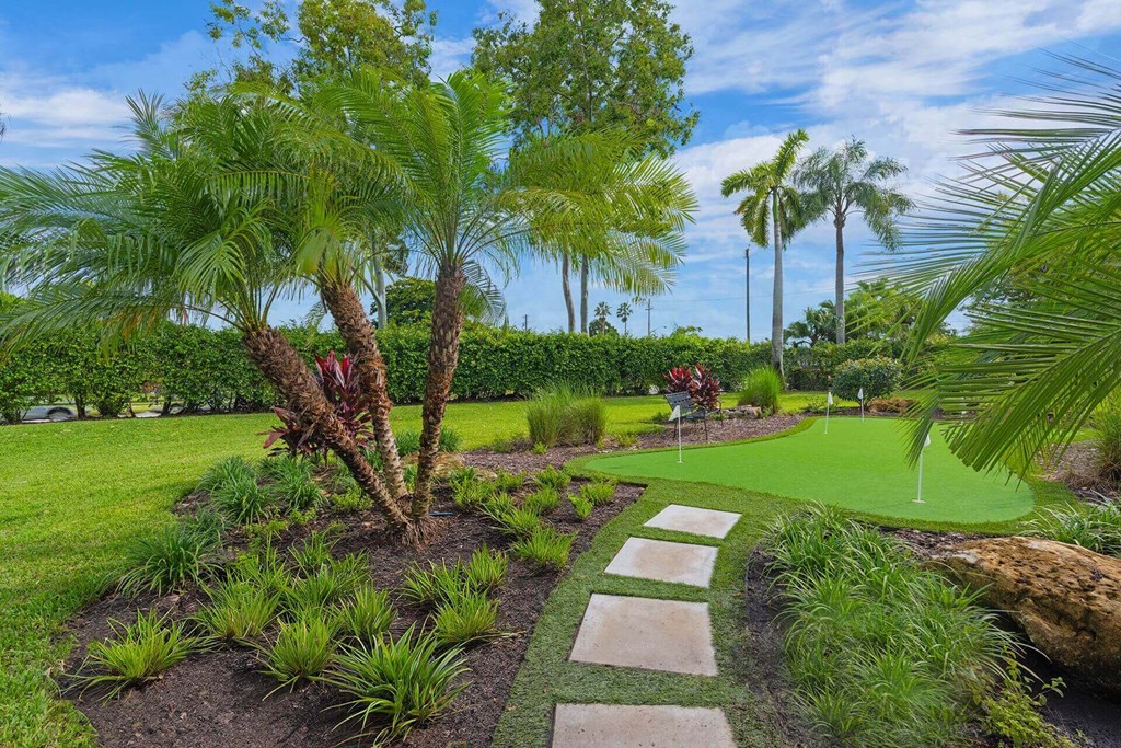 A garden with a pathway and a palm tree.