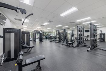 A gym with a variety of equipment including a squat rack, a leg press machine, and a bench.