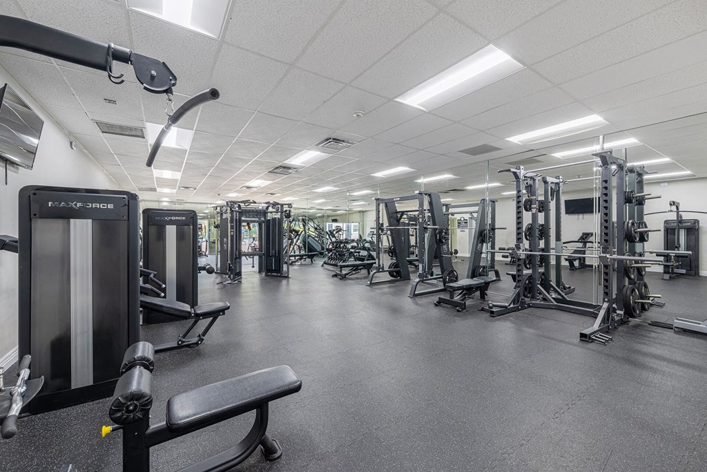 A gym with a variety of equipment including a squat rack, a leg press machine, and a bench.