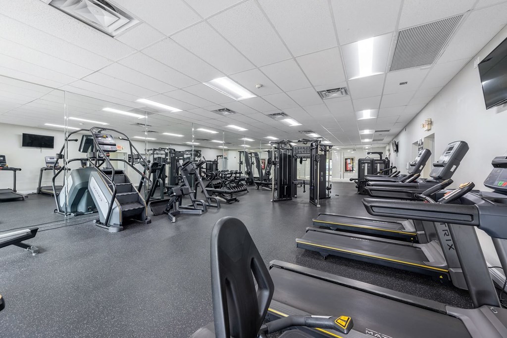 A gym with treadmills, elliptical machines, and other cardio equipment.