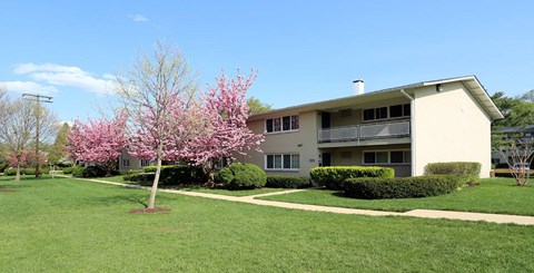 A building with a tree in front of it.