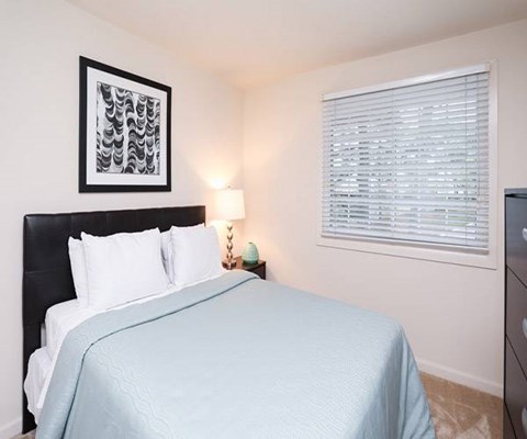 A bedroom with a bed covered in a blue sheet and a black headboard.