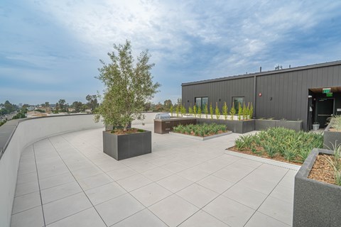 4th Floor Courtyard