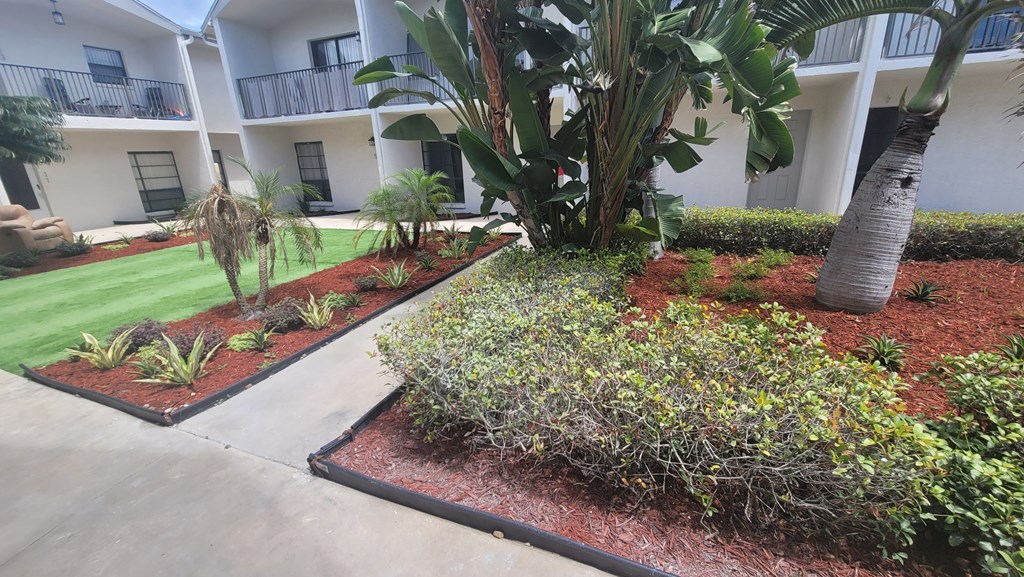 A landscaped courtyard with a tree and shrubs.
