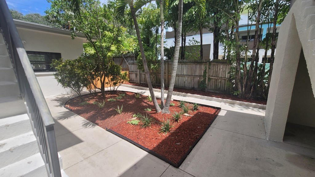 A tree in a backyard with a red mulch base.