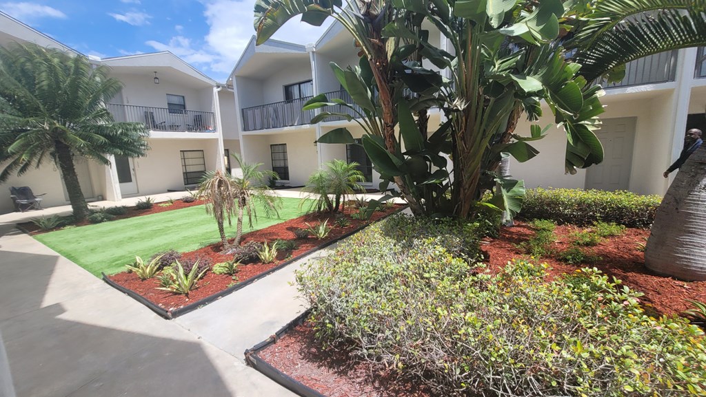 A courtyard with a palm tree and a building in the background.