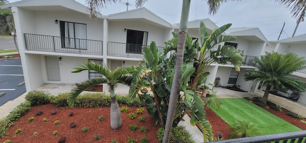 A white building with a balcony and a palm tree in front.