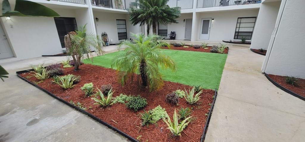 A small garden with a palm tree and other plants.