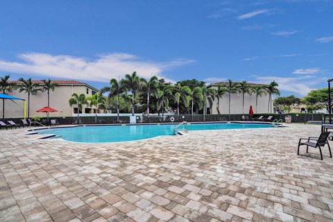 Community pool surrounded by palm trees and a clear blue sky.